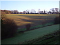 View near Lyneham