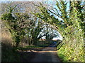 Lane at Smutty Moor Wood