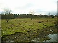 Waste ground at Cambusnethan