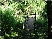 SX0348 : Wooden Footpath Bridge by Tony Atkin