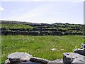 L8708 : Small fields and old stone walls, Inishmore by Francoise Poncelet