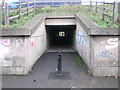 Path Under the Motorway