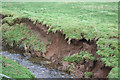 Stream erosion