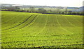 Field Overlooking Prestwick Airport