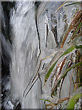 NY6749 : Ice sculpture, Smallcleugh Burn by Andrew Smith