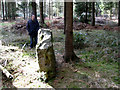 Nutball Stone, Canimore Road, Warminster