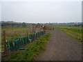 Avenue Washlands Nature Reserve Tupton