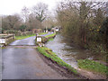 River Ebble at Croucheston