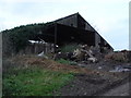 Tatty barn at Barton Hill Dairy