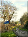 Green lane off Ffordd y Fron, Nercwys