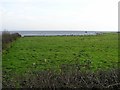 H9674 : Farsnagh Point, Lough Neagh by Kenneth  Allen