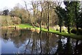 Pond at the top end of Piercefield Park