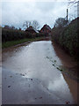 Road in Stoke Farthing