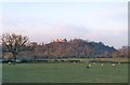 Over the fields to Dynevor Castle