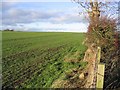 Arable farmland