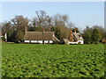 Cottages near Giffords Hall