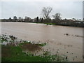 SJ9321 : River Penk in flood at Radford, Stafford by David Bagshaw