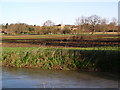 River Stour, Nayland, Suffolk/Essex border