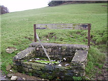 SD5869 : Water Trough by Michael Graham