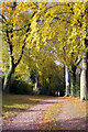 Footpath from Cherry Hill Road to Barnt Green Station