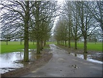 ST9385 : The driveway to Cole Park by Roger Cornfoot