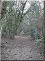 Footpath through woods near Hyde Farm