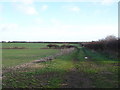 Downland north of Monkton Up Wimborne