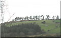 Dinas Dinorwig Iron Age Fort from Gors Farm