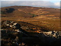 Debdon Burn valley from Bieldy Pike