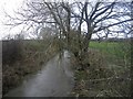 Grittenham Brook