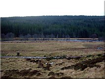 NH5675 : The River Averon (Alness River) and the track to Am Mam by Gordon Brown