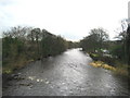 River Wharfe from the Old Bridge