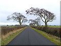 Lane approaching A1