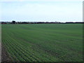 Farming the downs north of Monkton Up Wimborne