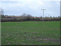 Field on Manor Farm, Monkton Up Wimborne