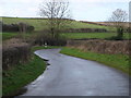 The lane near Monkton Up Wimborne