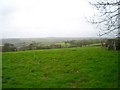 Looking down the field which leads to Treviles Manor