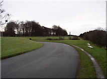 O1134 : Military Road, Phoenix Park by JP
