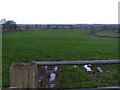 Leese Farm from Thorneyfields Lane