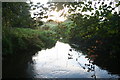 Stream from Podmore Lane, Gressenhall