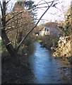 River Glyme in Wootton by Woodstock