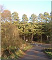 Minor road junction east of Lochton of Leys