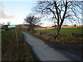 Cateran trail near Drumgell and Kilry Lodge