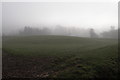 Mound at Dixton, Monmouth