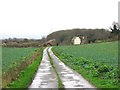 Track leading to Thornton Farm