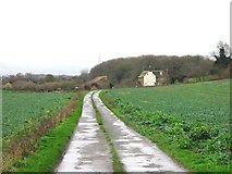 TR2952 : Track leading to Thornton Farm by Nick Smith