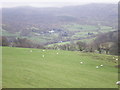 Llanfachreth from Precipice walk.