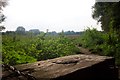 Fields behind Marston Middle School