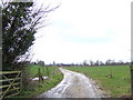 Road to Faringdon Park Farm