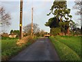 Looking towards Woodnesborough along small road.